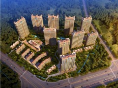 ��¡ʢ������