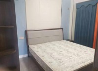 �̹��@�������