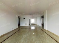 �����ʺ�