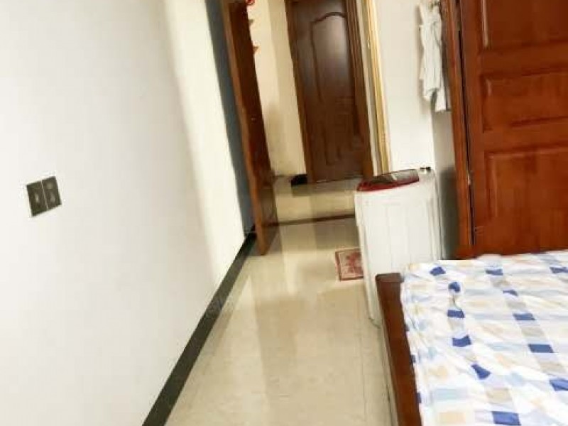 ��ɭꖹ�����