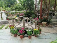 ���T����