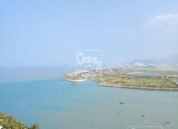 �����S�𺣰�