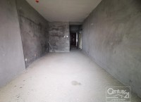 �����S�𺣰�