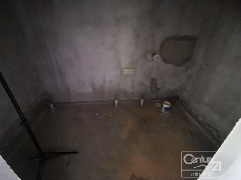 �����S�𺣰�