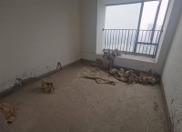 ���l�̺�Ҽ̖