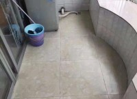 ���d���t���@