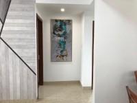 �����ʺ�