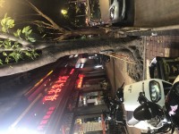 �|�����Q��