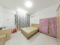 �����´�