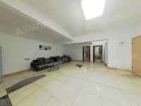 �����´�