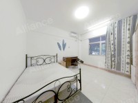 �����´�