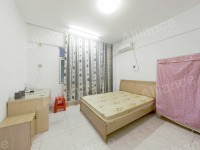 �����´�