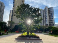 ���݇��Q���@