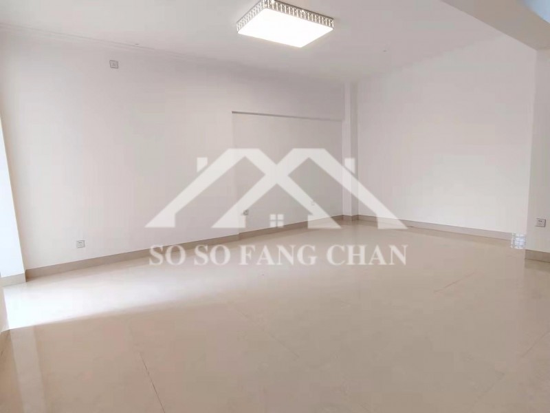 �����B�T���ϰ�