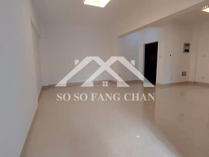 �����B�T���ϰ�