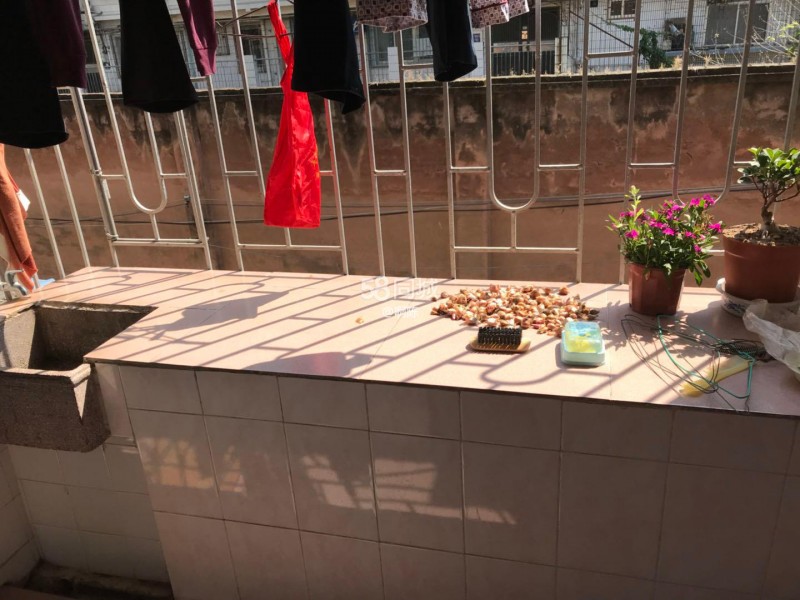 �������Ҹ��� 