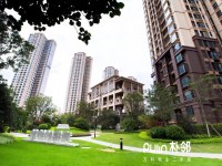 �����f�Ƴ�